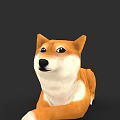 Cute Shiba Inu Dog Lying Down With Orange And White Fur And Friendly Expression