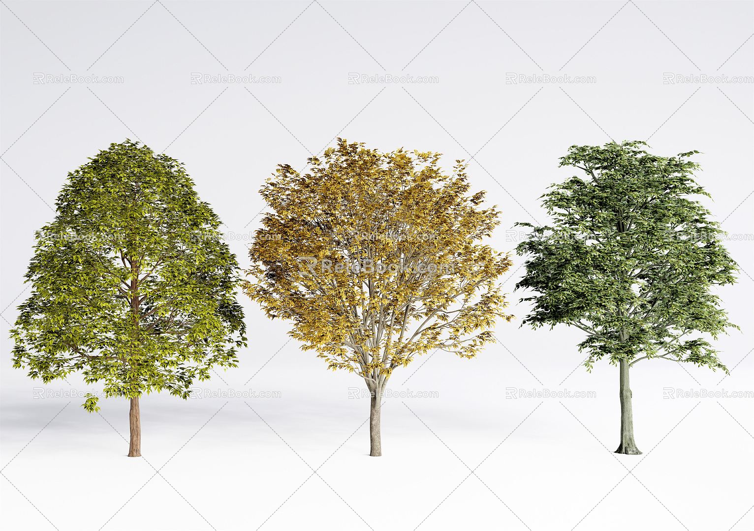 modern tree landscape tree arbor model