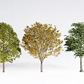 modern tree landscape tree arbor 3d model
