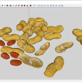 Peanuts In Yellow Shells And Red Shelled Kernels On White Background