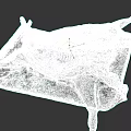 Whole Raw Mutton Meat With Fresh Ribs On Metal Tray