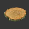 Natural Wooden Round Slice Household Item With Smooth Surface And Bark Edge