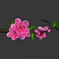 Decorative Pink Flower Branch With Green Leaves And Reflection For Home Decor