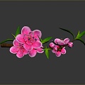 Cherry Blossom Cartoon Cherry Blossom Animation Cherry Blossom Plum Blossom Life Supplies 3d model