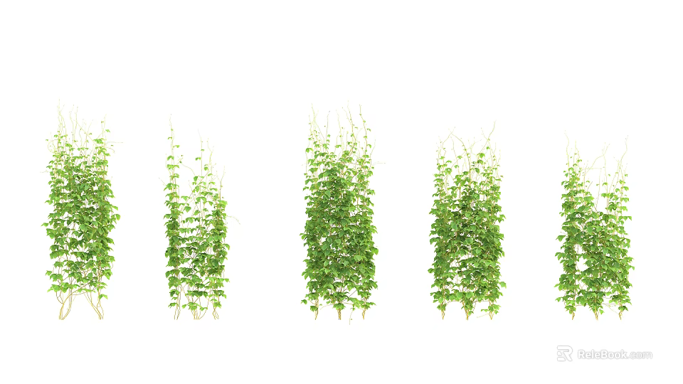 Lush Green Climbing Vines With Various Heights For Garden Decoration 3d model 
