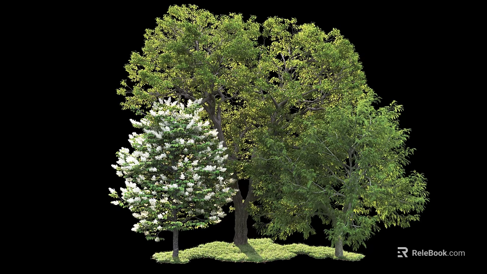 Lush Arbor Trees With White Flowering Branches And Green Foliage On Grass 3d model 