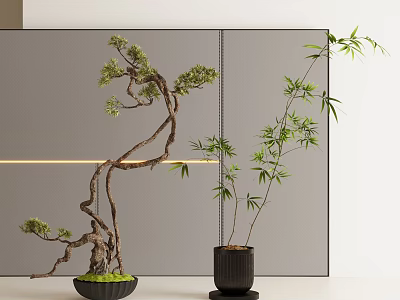 Stylish Bonsai Tree and Bamboo Plant in Black Pots with Grey Screen and Decorative Lighting 3d model