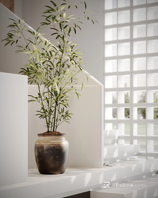Bamboo Bonsai Plant in Clay Pot Decorating White Room with Grid Window and Greenery Outside 3d model 