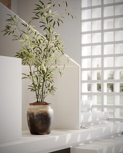 Bamboo Bonsai Plant in Clay Pot Decorating White Room with Grid Window and Greenery Outside 3d model
