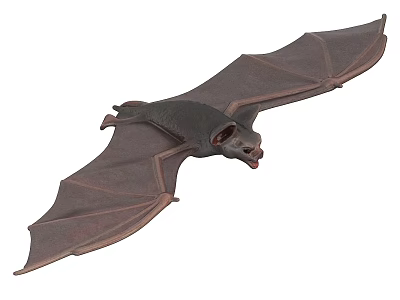 Flying Bat With Spread Wings And Detailed Body Structure In Flight 3d model