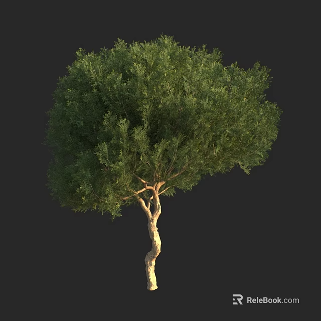 Lush Green Arbor With Dense Foliage And Natural Trunk Shape 3d model 