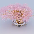 Romantic Outdoor Table And Chair Set Under Pink Cherry Blossom Tree
