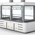 Modern Laboratory Fume Hood Setup With Chemical Bottles Faucet Drawers Cabinets and Warning Signs
