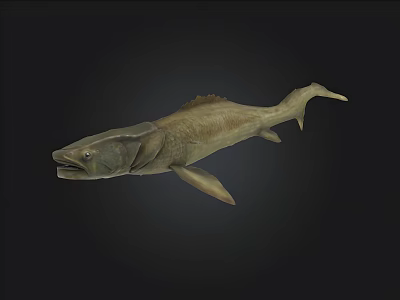Realistic Large Brownish Fish With Detailed Scales And Fins 3d model