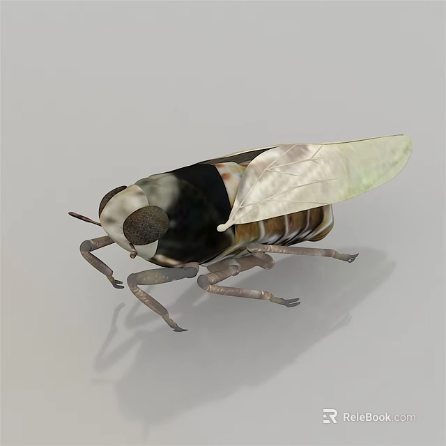 Flying Insect Detailed 3D Model with Transparent Wings Segmented Body and Large Compound Eyes 3d model 