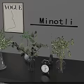 Modern Aquatic Plants in Glass Vases for Minotti Interior Decor
