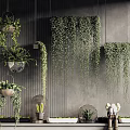 Indoor Hanging Basket Plants With Trailing Greenery Decorating Grey Textured Wall