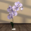 Floral Display Featuring Purple Orchids in Green Vase with White Base on Wooden Floor