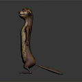 Animated Movie Game Character with Brown White Fur Green Hat Standing Pose and Sly Expression