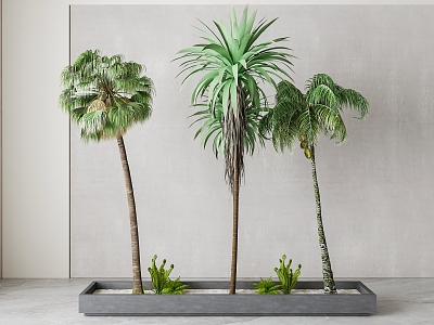 Modern Coconut Tree 3d model