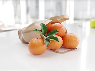 Modern Orange Fruit Orange 3d model