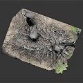 Wooden Stone Tree Stumps With Exposed Roots Green Foliage And Natural Base