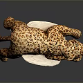 Soft Leopard Print Plush Stuffed Toy Lying On White Display Board Surface 3d model
