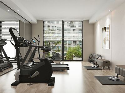 Modern Gym Home Gym Home Gym 3d model