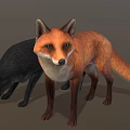 Red Fox and Black Wolf Standing with Realistic Fur Details on Gray Background