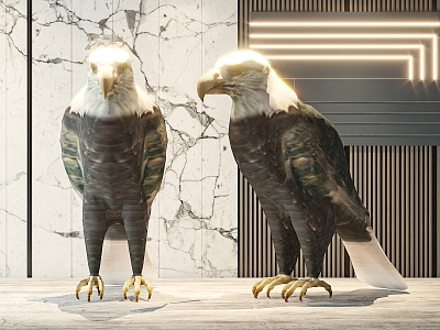 eagle bird 3d model