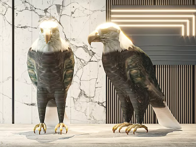 Detailed Bald Eagles Standing On Wooden Floor With Marble Background And Modern Lighting 3d model