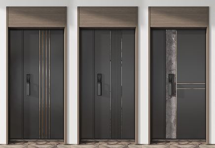 Modern security door entry security door 3d model