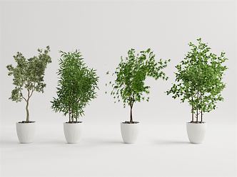 Modern potted plant potted landscape tree 3d model