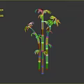 Green Bamboo Plant With Multiple Stalks And Fresh Leaves On Gray Background With Bottom Reflection