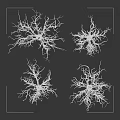 Leafless Trees With Exposed Roots On Gray Background And Ground 3d model