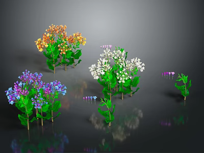 Colorful Flowering Plants With Green Leaves And Reflections On Dark Background 3d model
