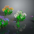 Colorful Flowering Plants With Green Leaves And Reflections On Dark Background