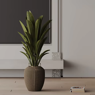 Modern Potted Plant 3d model