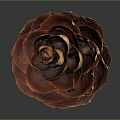 Brown Natural Pine Cone With Detailed Textured Scales Against Gray Background