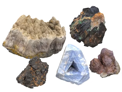 Natural Stone and Wood Specimens with Diverse Textures and Shapes 3d model
