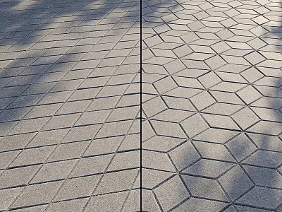 Ground With Two Different Paving Designs Rectangular And Hexagonal Bricks And Tree Shadows 3d model