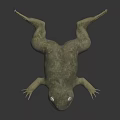 3D Rendered Greenish Yellow Frog With Mossy Texture And Reflection On Dark Smooth Surface