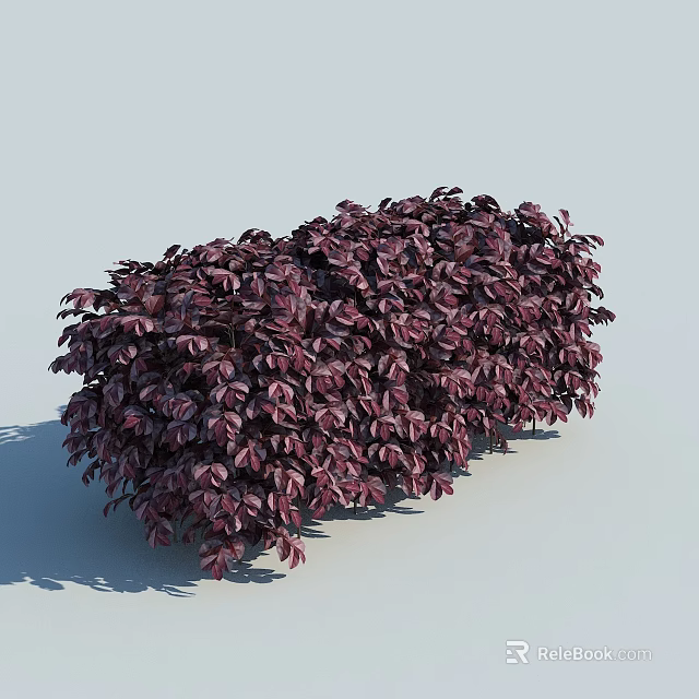 Lush Purple Leaf Bush With Dense Foliage And Round Shape Against Light Background 3d model 