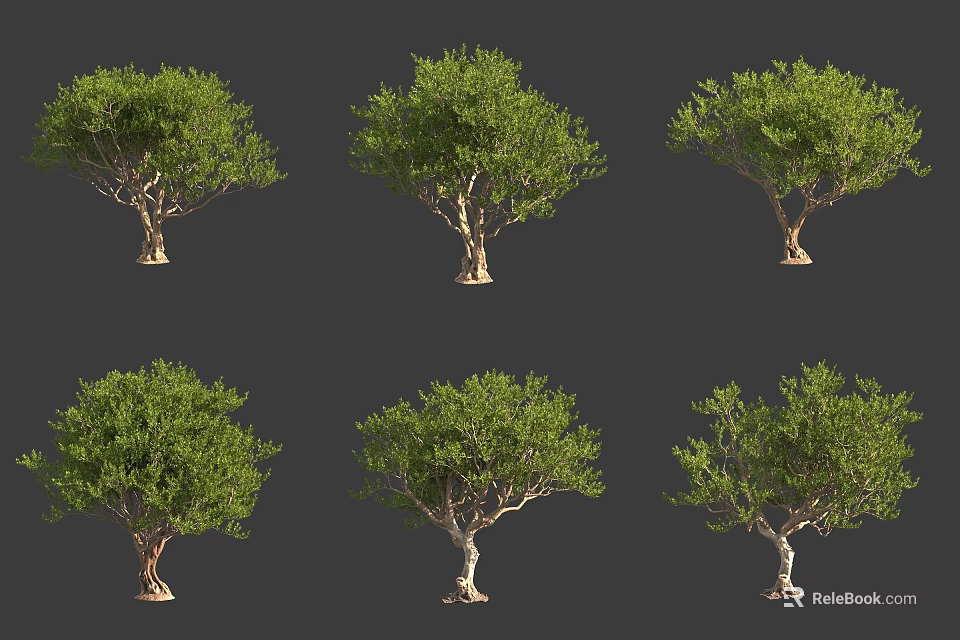 Various Arbor Trees With Lush Green Foliage And Sturdy Brown Trunks 3d model 