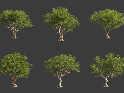 Various Arbor Trees With Lush Green Foliage And Sturdy Brown Trunks 3d model