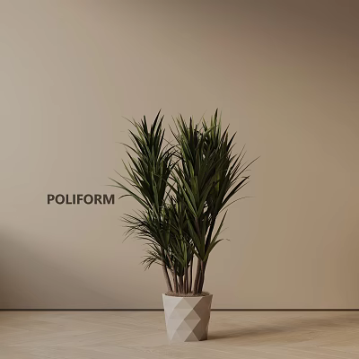 Modern Indoor Potted Plant With Long Green Leaves In White Geometric Pot Against Beige Wall 3d model