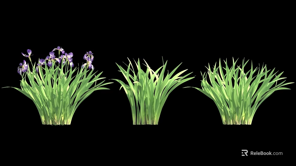 Leafy Green Shrubs With Purple Flowers In Three Clusters On Black Background 3d model 