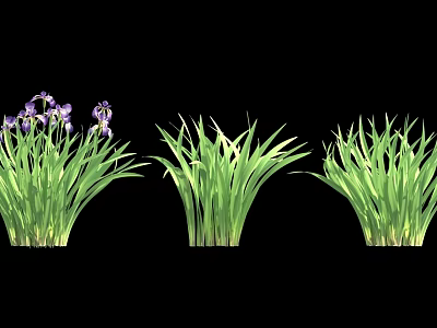 Leafy Green Shrubs With Purple Flowers In Three Clusters On Black Background 3d model