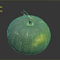 Fresh Organic Green Pumpkin With Natural Stem And Shiny Surface On Dark Background