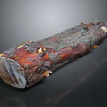 Rustic Natural Wood And Stone Log With Rich Grain And Textured Surface Finish